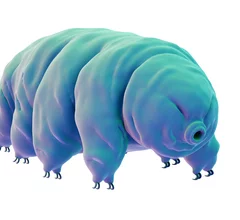 Proteins in tardigrades could help prevent radiation-induced side effects.