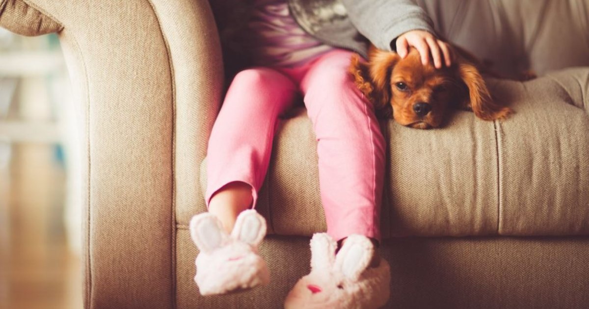 CT撮影に対する子供の不安を和らげる「子猫スキャナー」