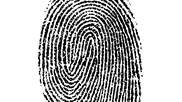 fingerprint