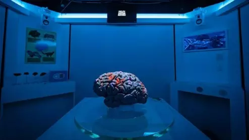 MRI-themed escape room University of Oxford