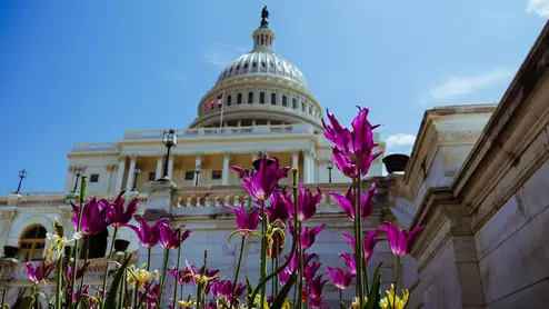 bipartisan house task force on artificial intelligence 