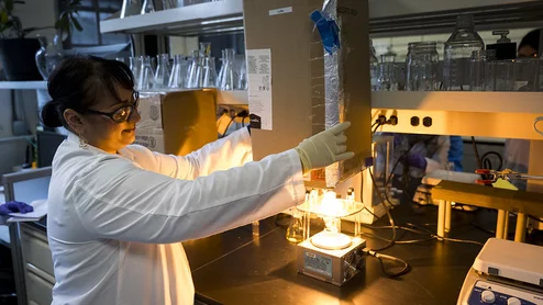 OSU researchers studying ability of silver nanoparticles to enhance medical imaging