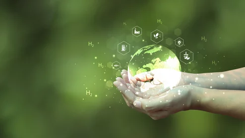 green sustainability environment savings 