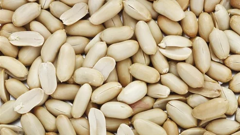 Eating unsalted peanuts improves the brain's vascular health