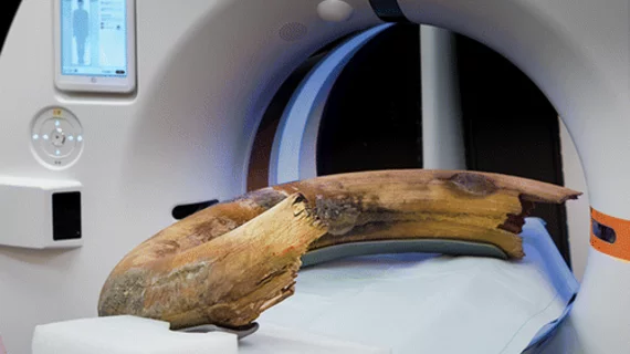 woolly mammoth tusk CT