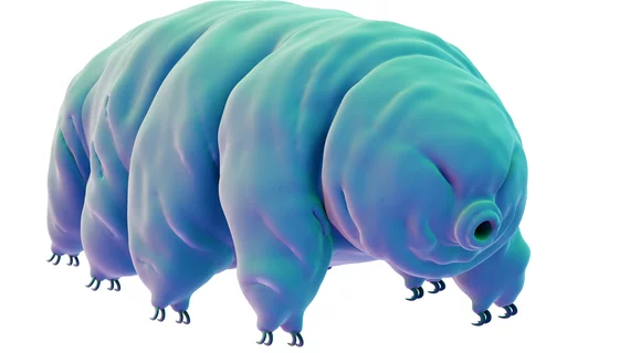 Proteins in tardigrades could help prevent radiation-induced side effects.